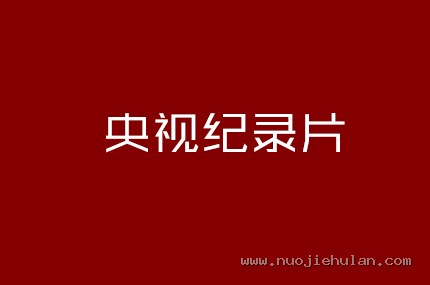 央视纪录片